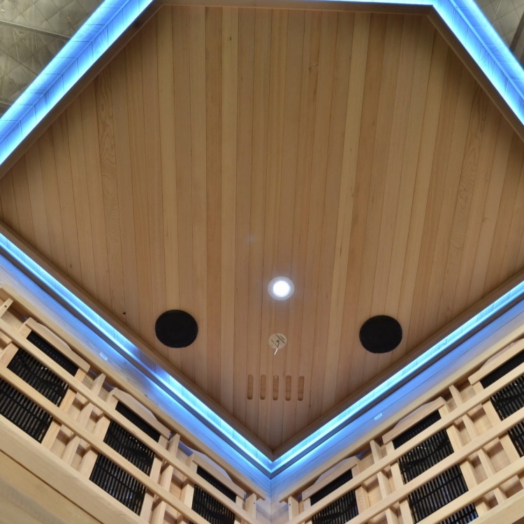 sauna na podczerwien deluxe infrared2 led.JPG